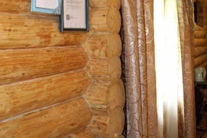 Лесная ягода 6