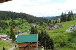 Лесная ягода 24