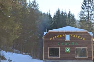 Мини-отель Лесной Цветок