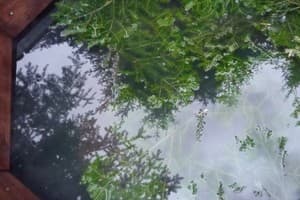 Лесной Сруб 16