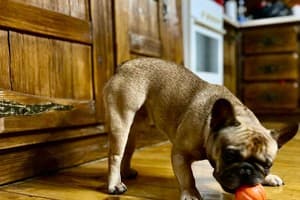 Лесной Сруб 19