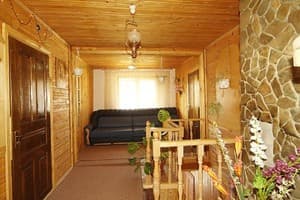 Лев у Светланы 5