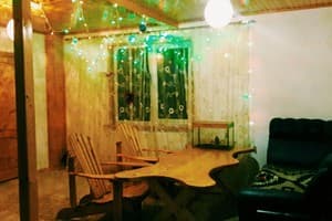 Лев у Светланы 2