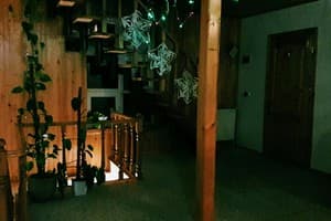 Лев у Светланы 3