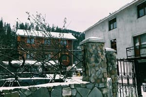 Частная усадьба Лев у Светланы