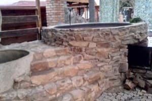 Лев у Светланы 10