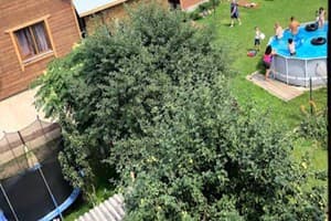 Частная усадьба Лев у Светланы