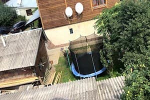 Лев у Светланы 6