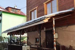 Лев у Светланы 1