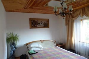 Лев у Светланы 8