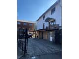 Лев у Светланы 20