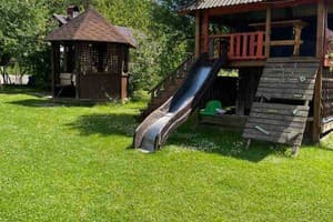 Лев у Светланы 15
