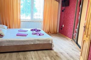Частная усадьба Лев у Светланы. Стандарт трехместный  3
