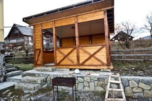 Ліснови 2