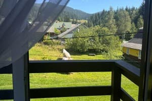 Лісова Лілея 12