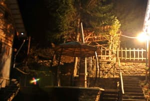 Лісова хатина 3