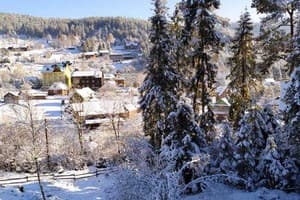 Лісова казка 1