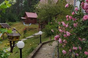 Лісова казка 1