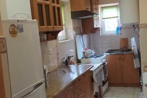 Лісова казка 13