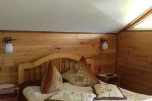 Лісова казка 10