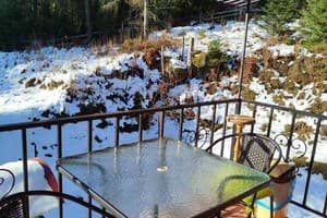 Лісова казка 5