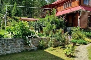 Лісова казка 22