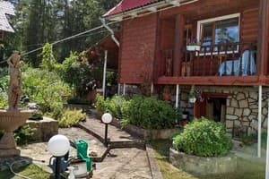 Лісова казка 25