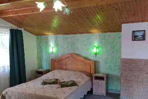 Лісова казка 15