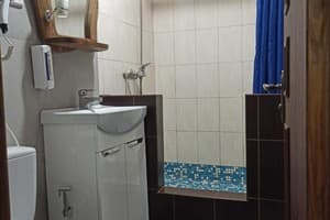 Лісова перлина 6