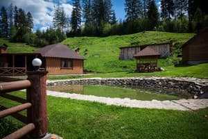 Лісовий Затишок 7