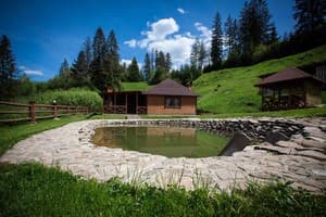 Лісовий Затишок 6