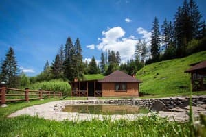 Лісовий Затишок 9