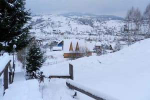 Лісовий Затишок 2