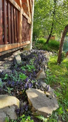 Лозованя 12