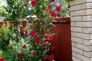 Мандрівник 2