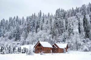 Mayak Chalet Resort Mykulychyn 33