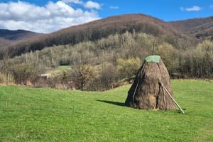Квартира Meadow. Апартаменты трехместный  26