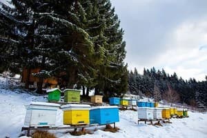 Медовый двор 2