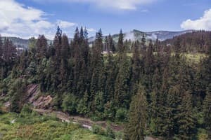 Медвежий Двор 18