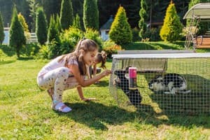 Медвежий двор Шале 5