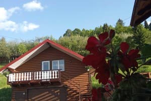 Мелодия Карпат 32