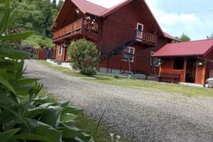 Мелодия Карпат 23