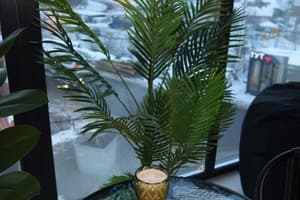 Milana SPA & Hotel -Breakfast and SPA included 22