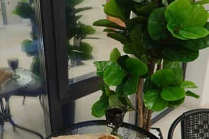 Milana SPA & Hotel -Breakfast and SPA included 92