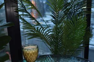 Milana SPA & Hotel -Breakfast and SPA included 91