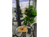 Milana SPA & Hotel -Breakfast and SPA included 95