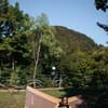 Molfar Spa Resort 43-44/62