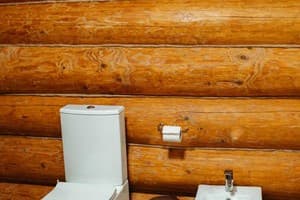 Спа-отель Molfar Spa Resort. Коттедж 4-местный с 2 спальнями 21