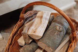Спа-отель Molfar Spa Resort. Коттедж 4-местный с 2 спальнями 30