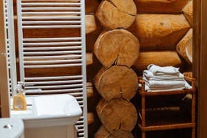 Спа-отель Molfar Spa Resort. Коттедж 4-местный с 2 спальнями 20